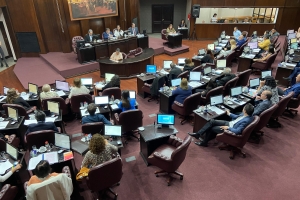 Senado aprobó el Presupuesto 2025: advierten que condena a San Luis al estancamiento