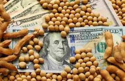 Gobierno restablecio el dólar soja con un 25% de libre disponibilidad de divisas