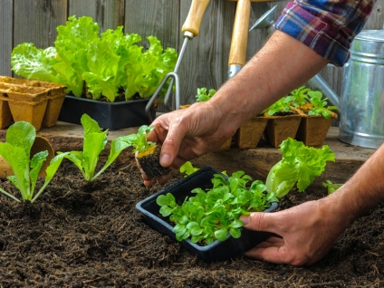 Tu Huerta Inscripciones hasta el 15 de septiempre