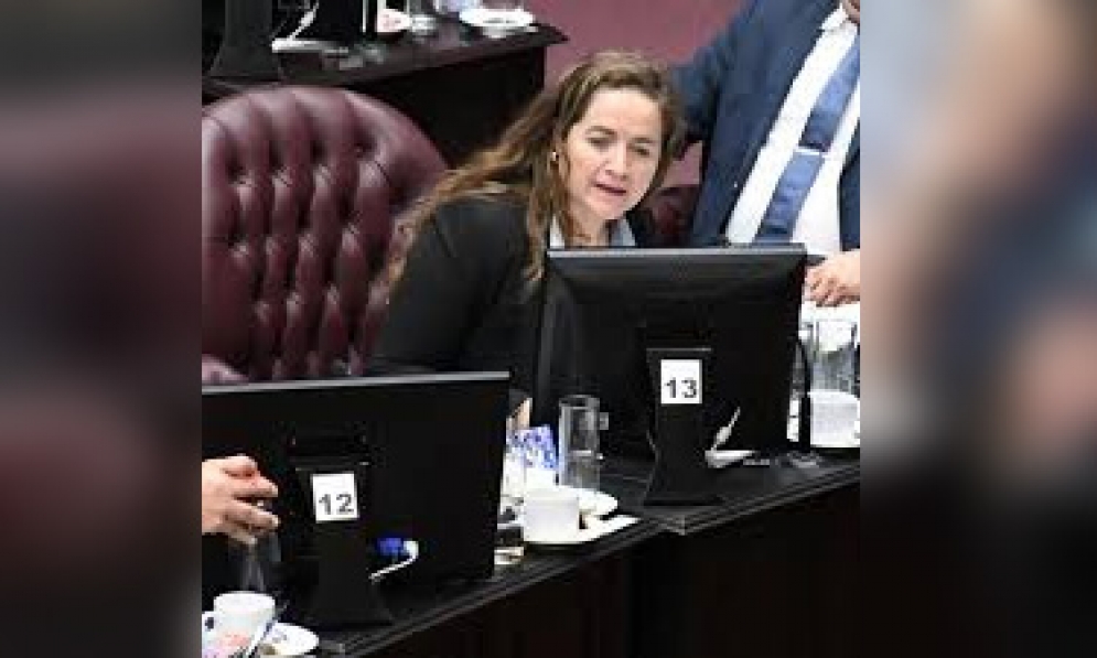 La Cámara de Diputados de San Luis aprueba declaración impulsada por la diputada Ivana Ricca en rechazo al veto presidencial sobre las prestaciones previsionales